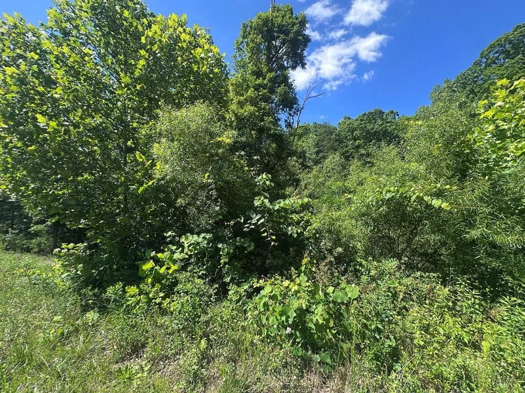 Property from 1020 Tomahawk Rd - KW - Jamestown, Tennessee, 38556