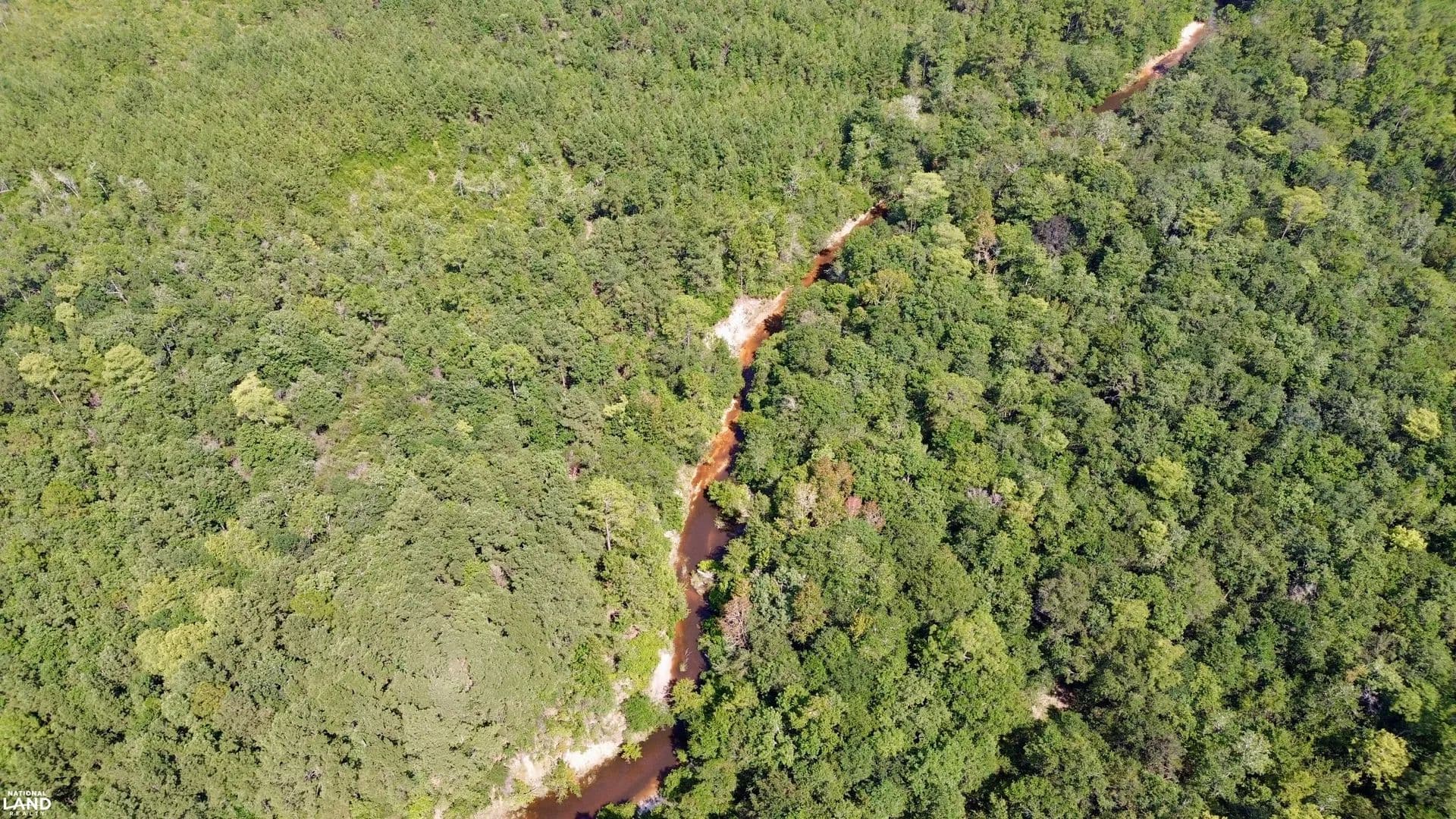 Walley Vinegar Bend Hunting & Timber Investment - Vinegar Bend, Alabama, 36584