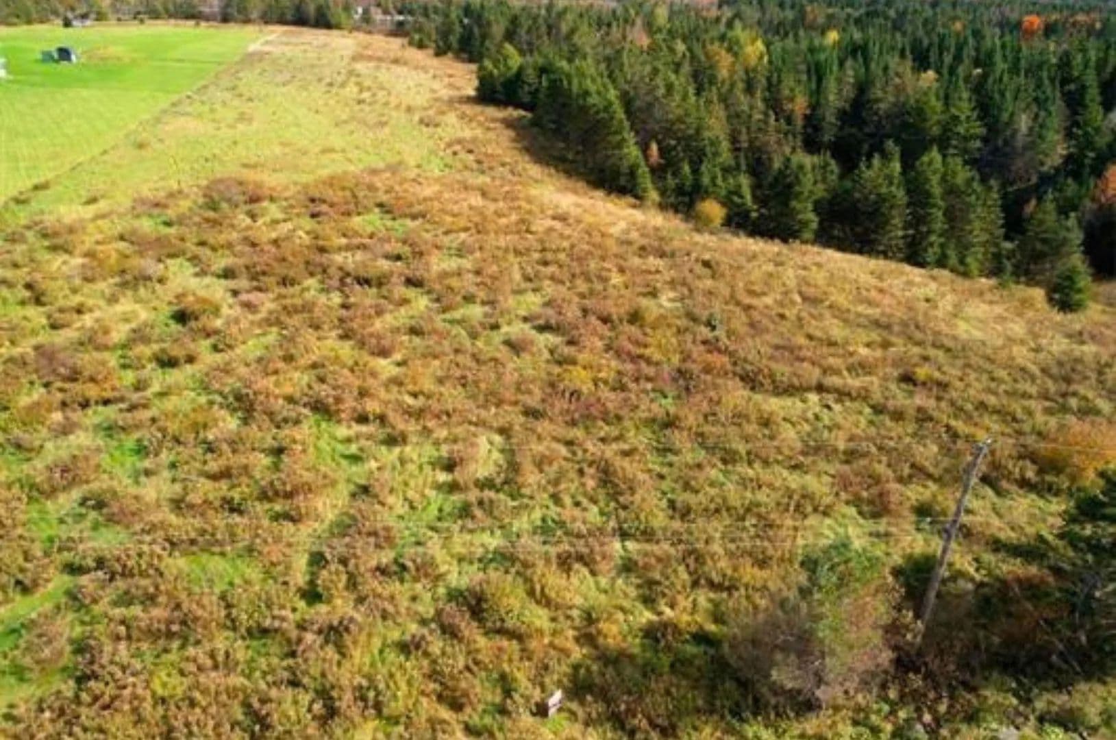 11.94 Acres of Land for Sale in East Mountain, NS - Canada