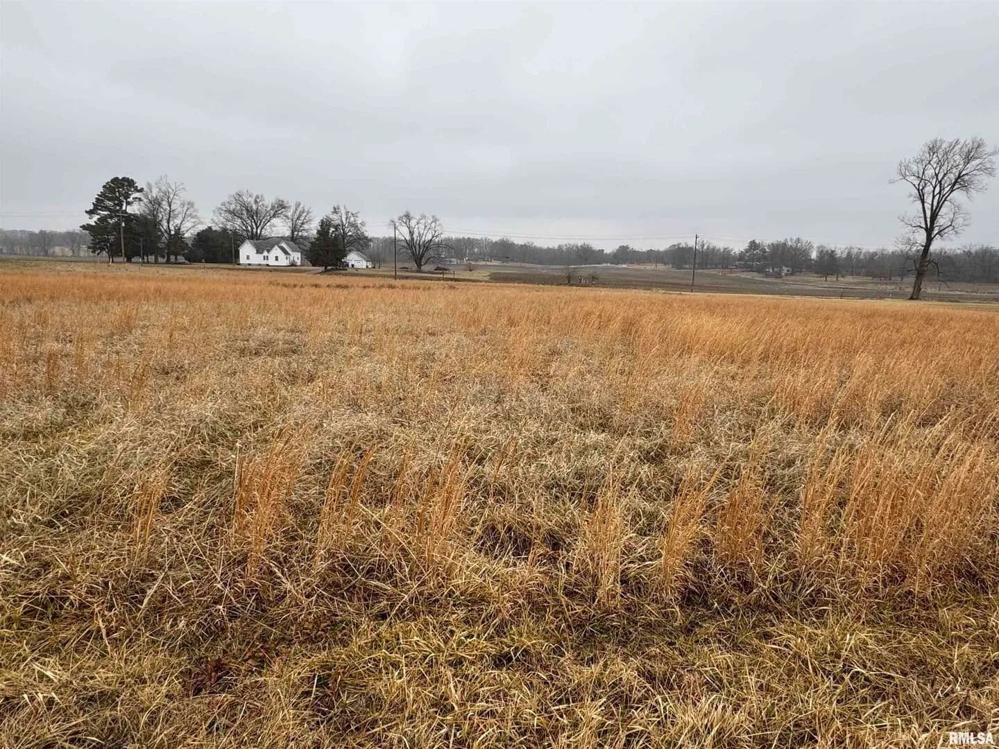 Land for Sale in Eldorado, Illinois - Eldorado, Illinois, 62930
