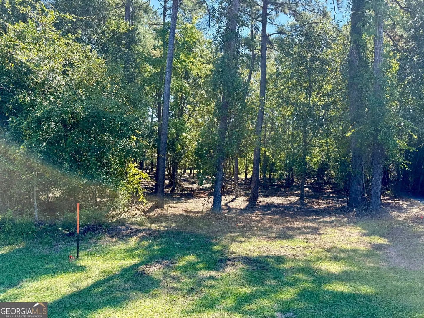 Property from 0 Friendship Road - KW - Sylvania, Georgia, 30467