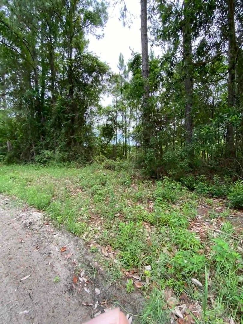 Property from XX JER-BE-LOU Circle - KW - Panacea, Florida, 32346