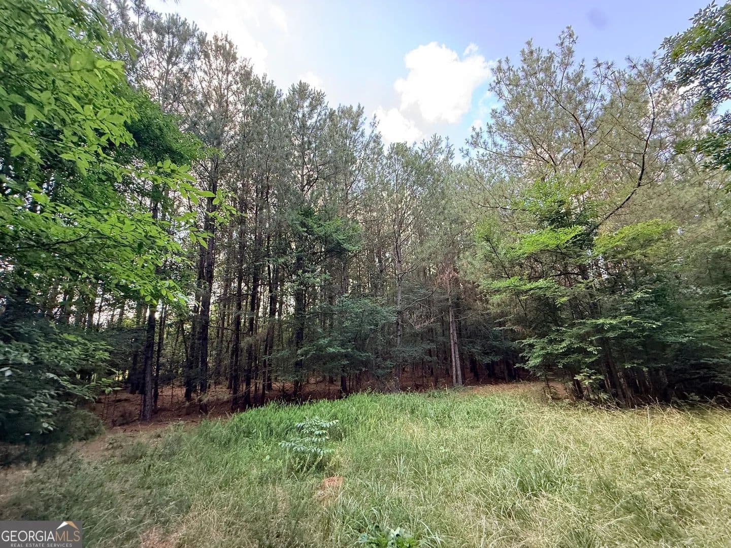 Property from 2 Bethesda Church Road - KW - Lexington, Georgia, 30648