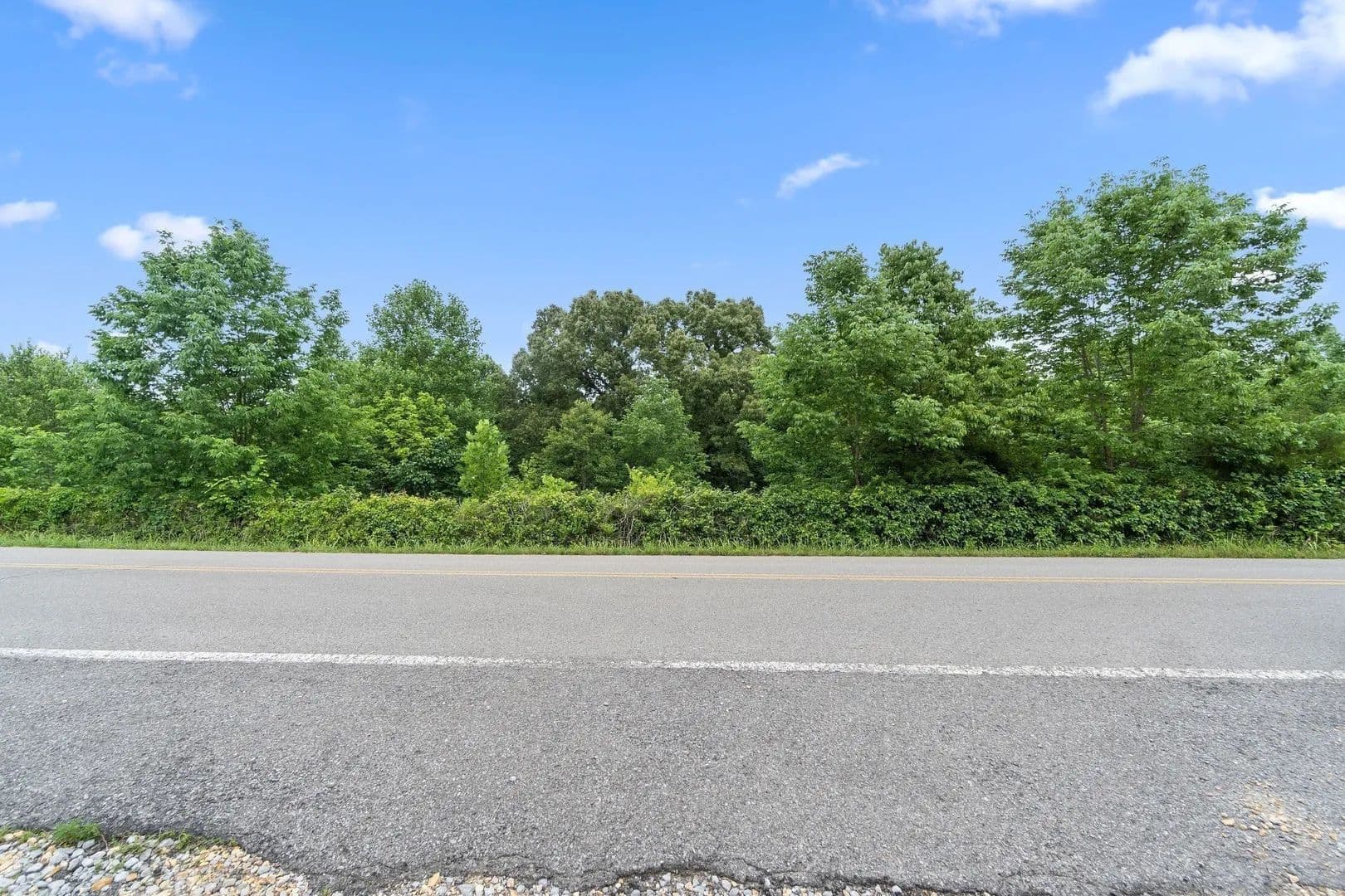 Vacant Land in Cunningham - Cunningham, Tennessee, 37052