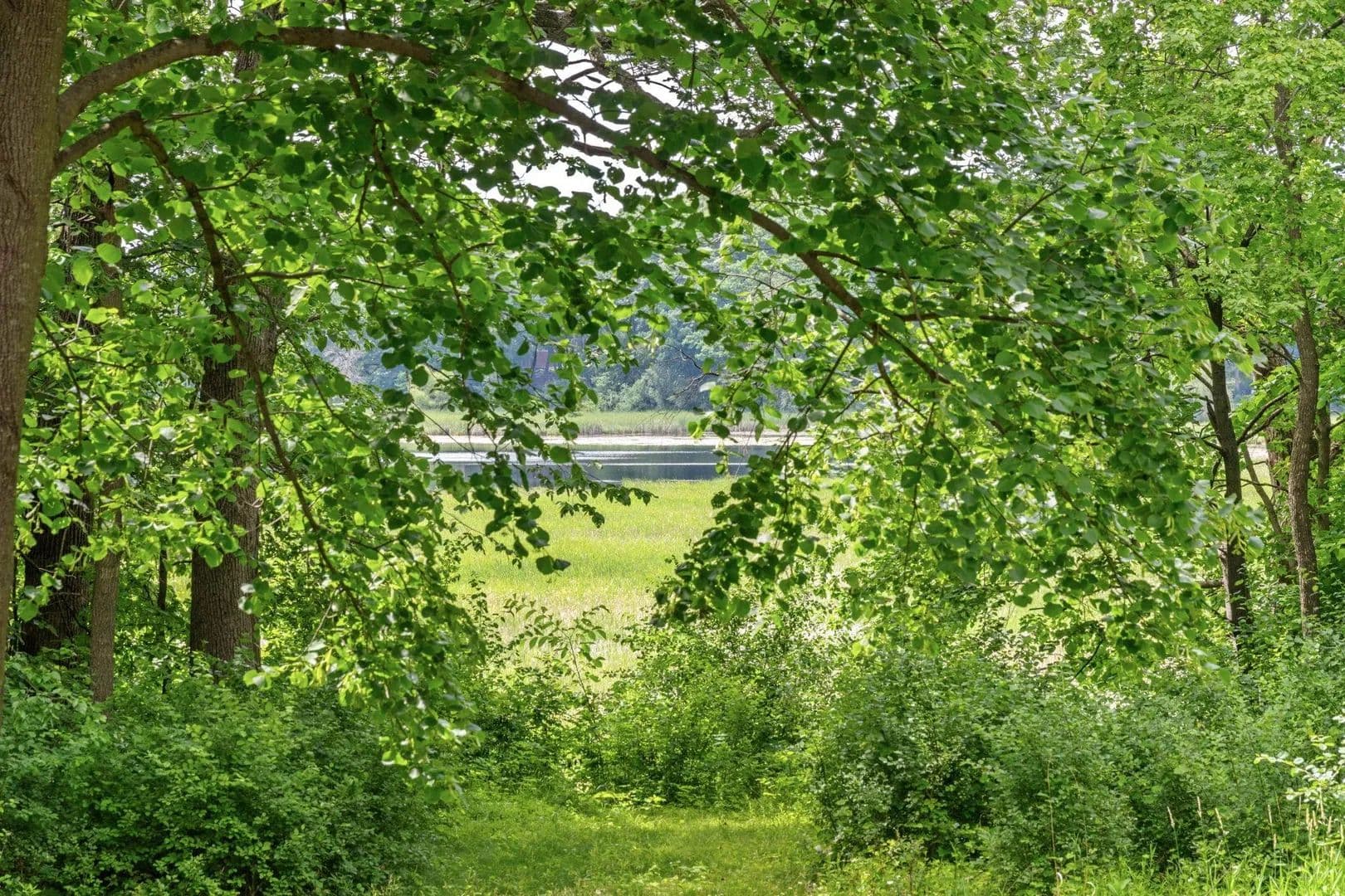 Vacant Land in Wayzata - Wayzata, Minnesota, 55391