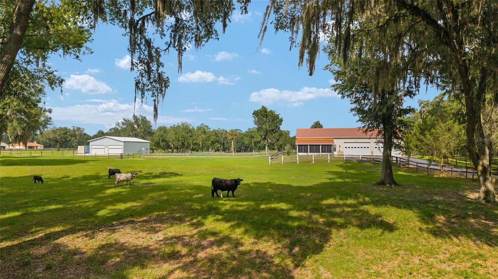 Property from 2035 NW 150TH AVENUE - KW - Ocala, Florida, 34482