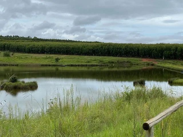 Land for Sale in White River, Mpumalanga - land for sale