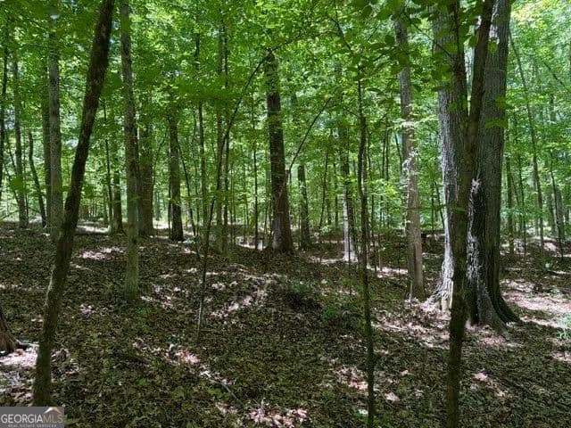 Property from 541 S Steel Bridge Road - KW - Eatonton, Georgia, 31024