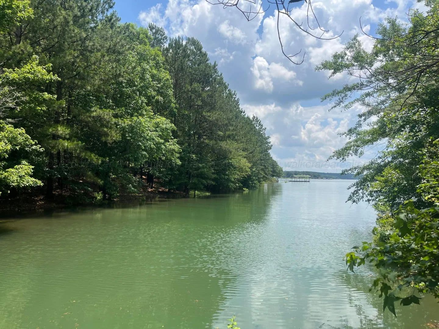 Property from LOT 83 STONEY POINT - KW - Double Springs, Alabama, 35553
