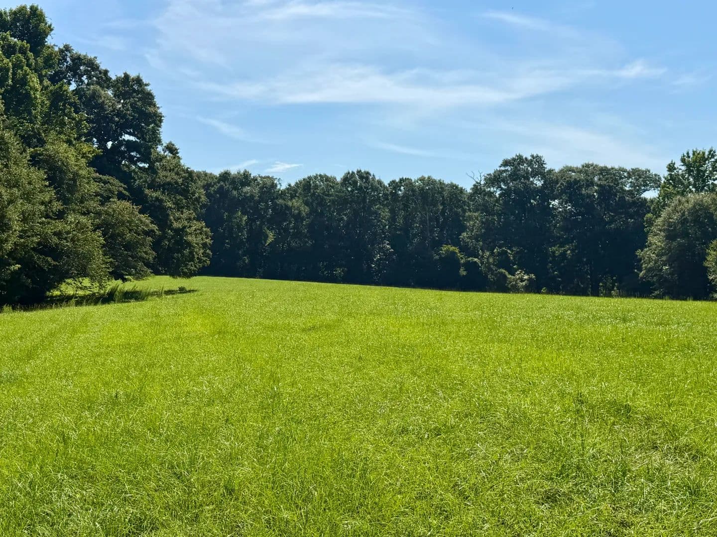 31 Acres in Crenshaw County, AL - Rutledge, Alabama, 36071
