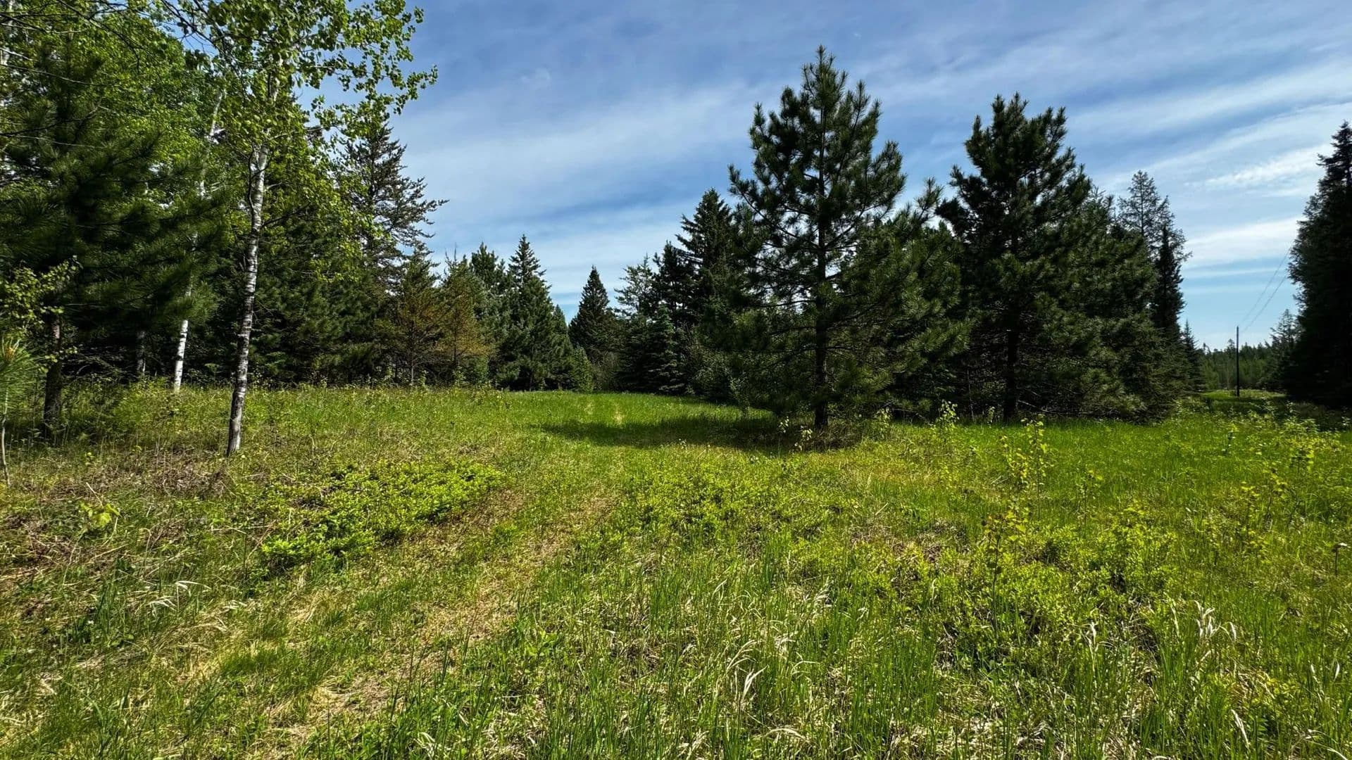 Property from TBD-B HWY 169 - KW - Virginia, Minnesota, 55792