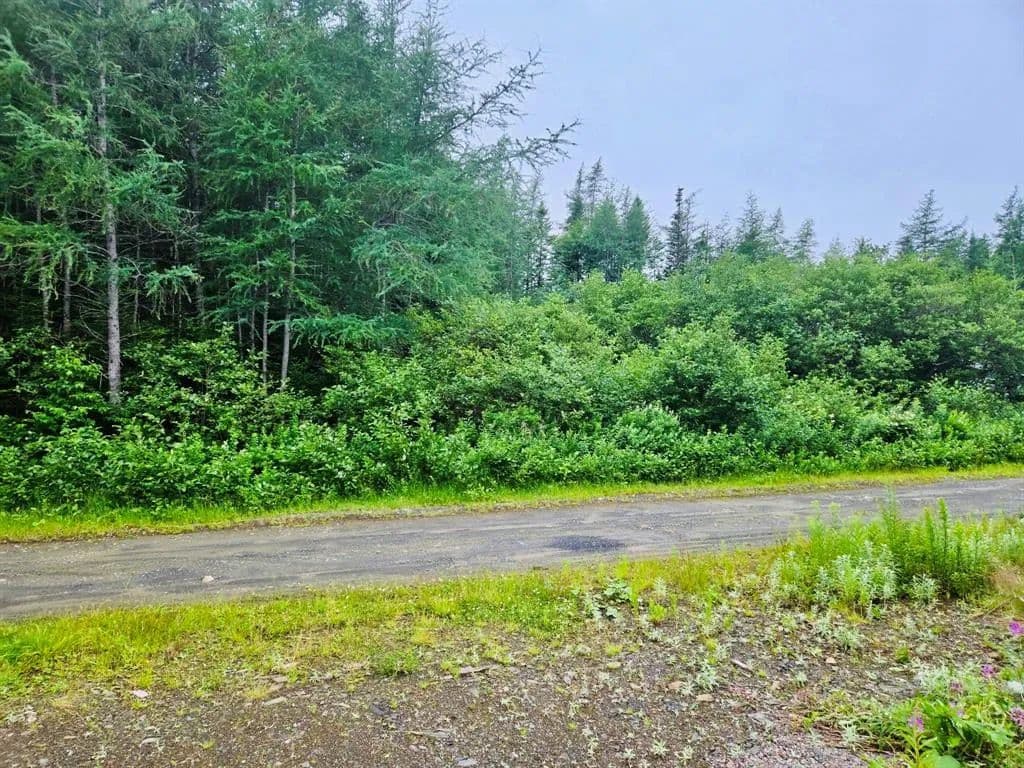 Land for Sale in Bay D'Espoir Highway, NL - land for sale