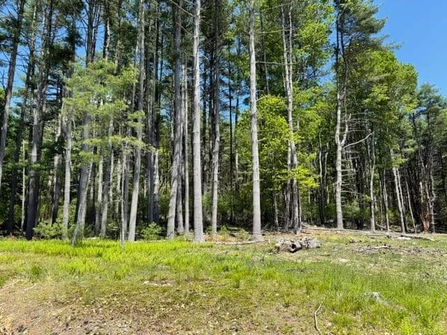 Land -Single Family Acreage in Glen S - New York, 12737