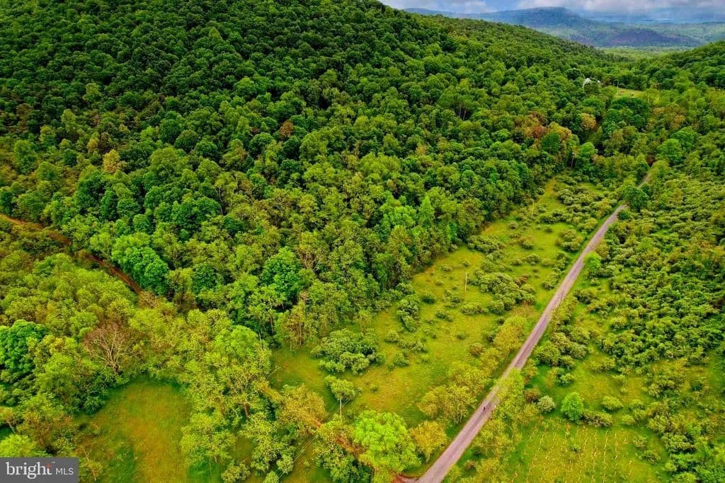 14.75 Acres of Land for Sale in Flintstone, Maryland - Flintstone, Maryland, 21530