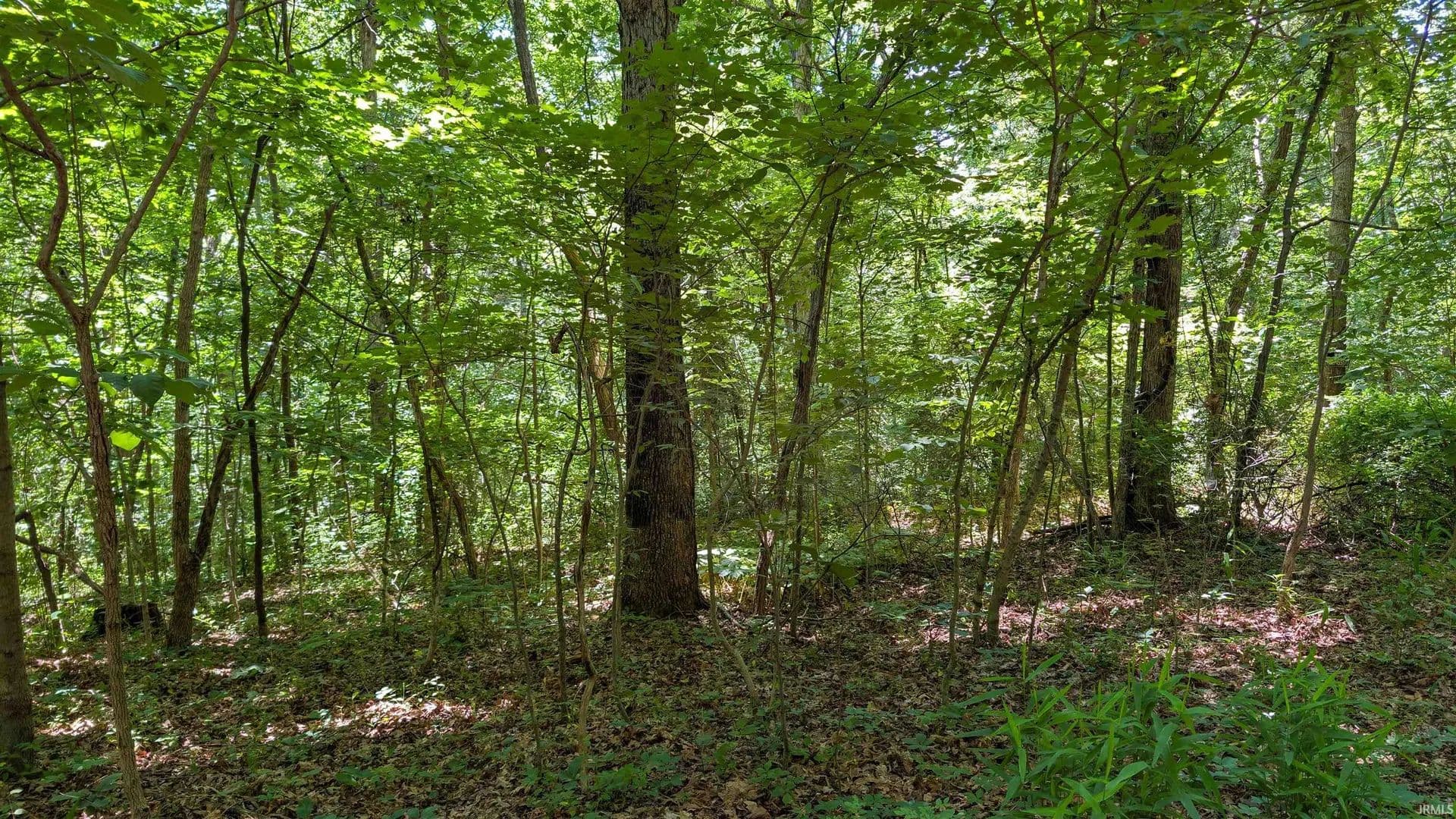 Property from Lot 16 Bell Hollow Road - KW - Cannelton, Indiana, 47520