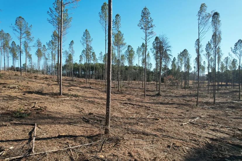 Gillchrist Road 16 Acres