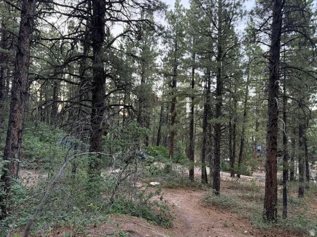 0.92 Acres of Land for Sale in Springdale, UT - Springdale, Utah, 84767