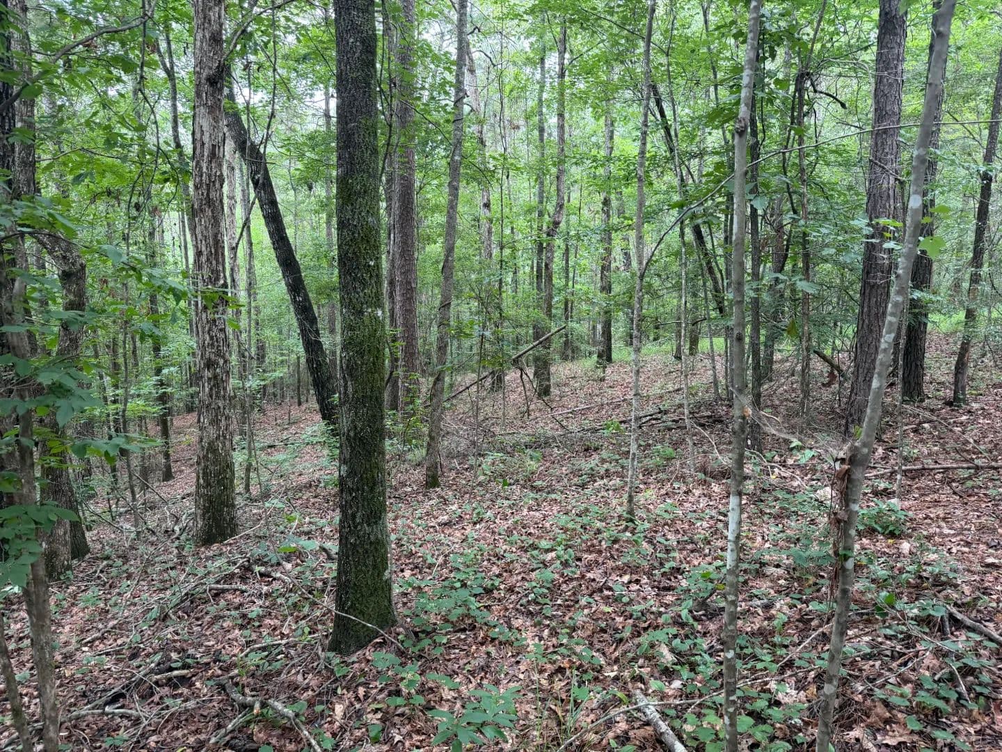 40 Acres with a Home in Simpson County, MS - Florence, Mississippi, 39073