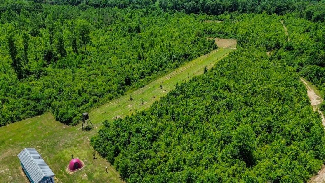 Wilcox Hunting Tract with Potential for RV Park or Commercial Tract - Camden, Alabama, 36726