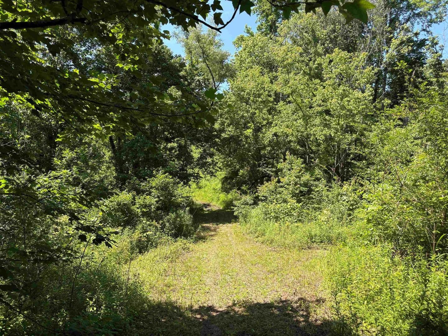 6.02 Acres of Land for Sale in Millington, Tennessee - Millington, Tennessee, 38053