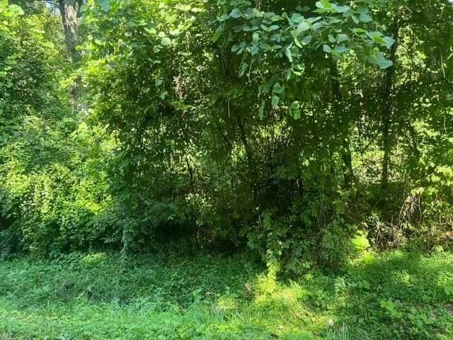 Land -Agricultural (Not Zoned) in Soddy Daisy - Soddy Daisy, Tennessee, 37379