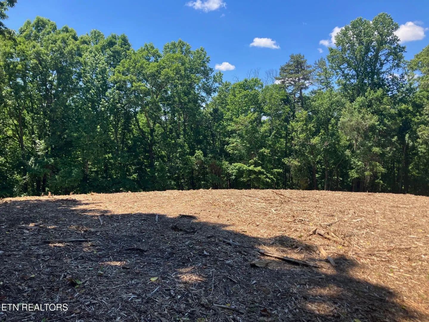 10 Acres of Land for Sale in Maynardville, Tennessee - Maynardville, Tennessee, 37807