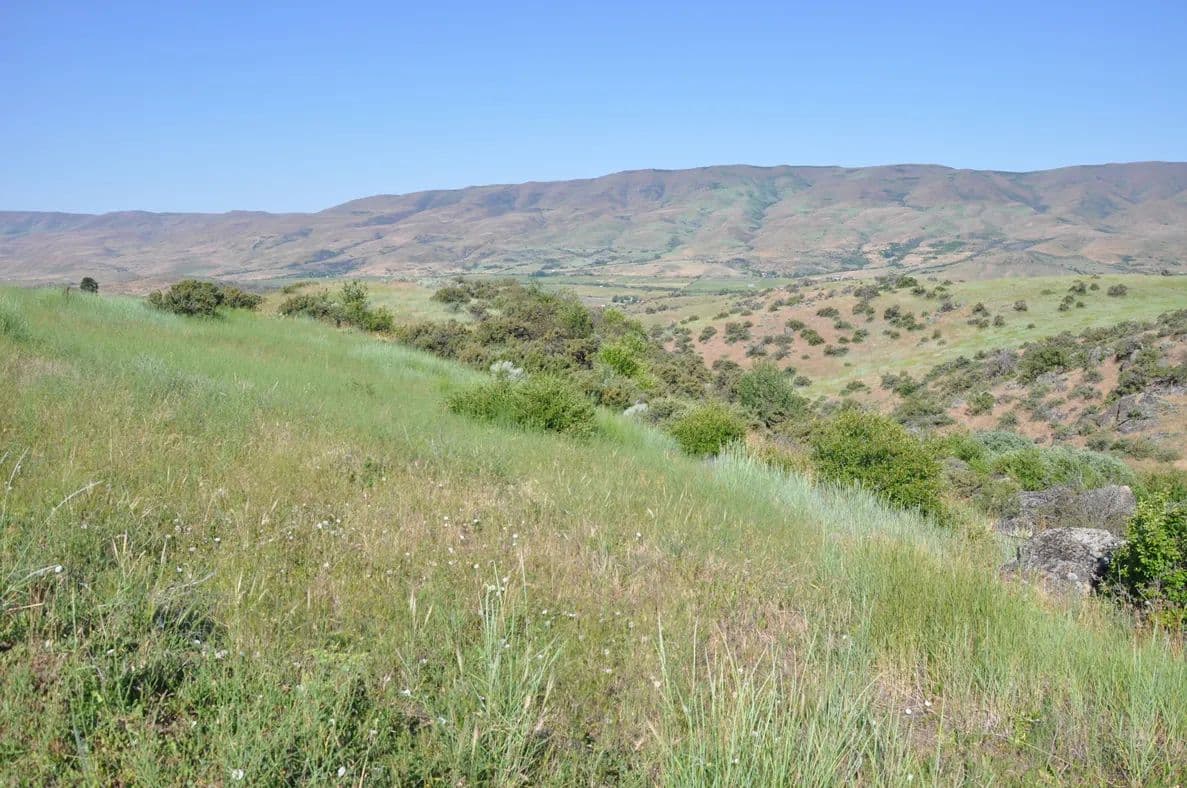 Ola Idaho Lands Parcel C - Ola, Idaho, 83657