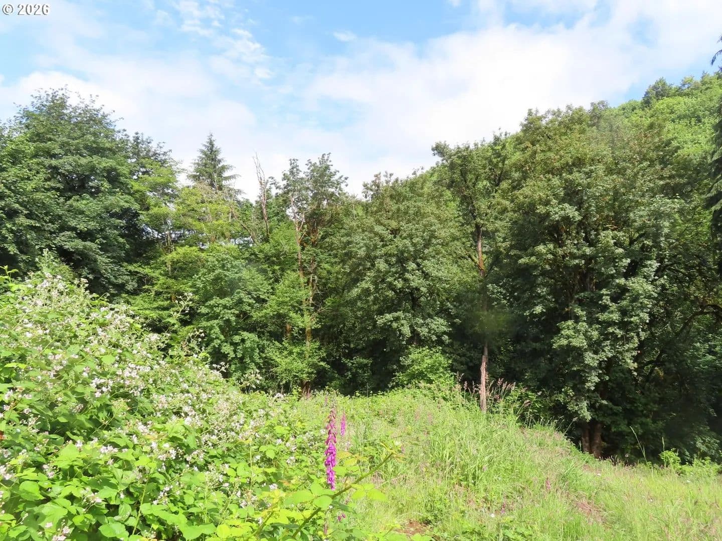 Property from Sylvan WAY - KW - Longview, Washington, 98632
