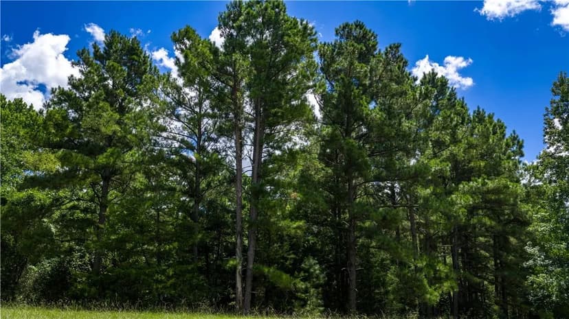 Vacant Land in Midway