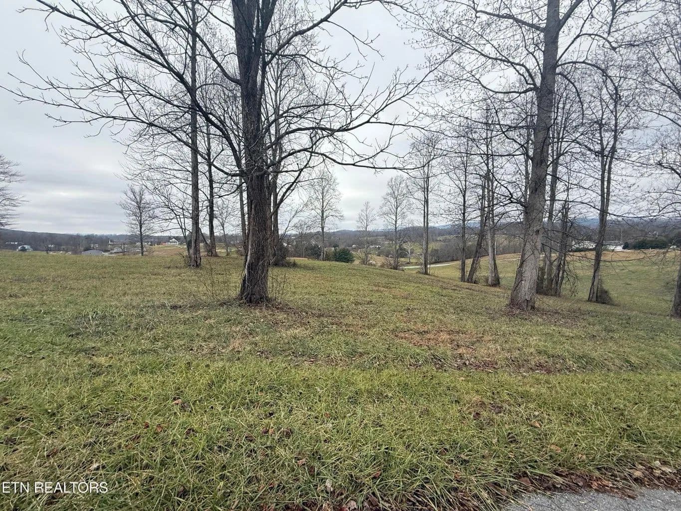 Land -Single Family Acreage in Jonesville - land for sale