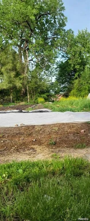 Property from 2969 Rosa Parks Boulevard - KW - Detroit, Michigan, 48216