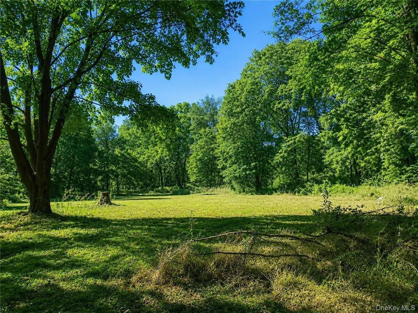 Property from Route 55 - KW - Poughkeepsie, New York, 12603
