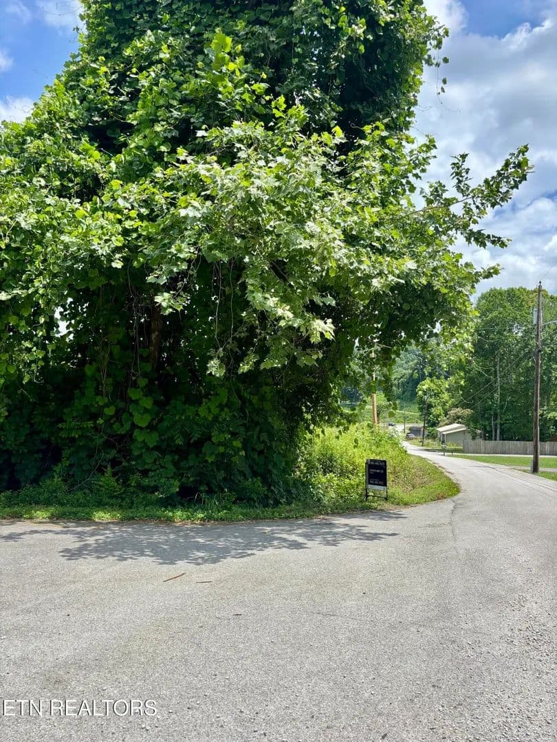 1.75 Acres of Land for Sale in Harriman, Tennessee - Harriman, Tennessee, 37748