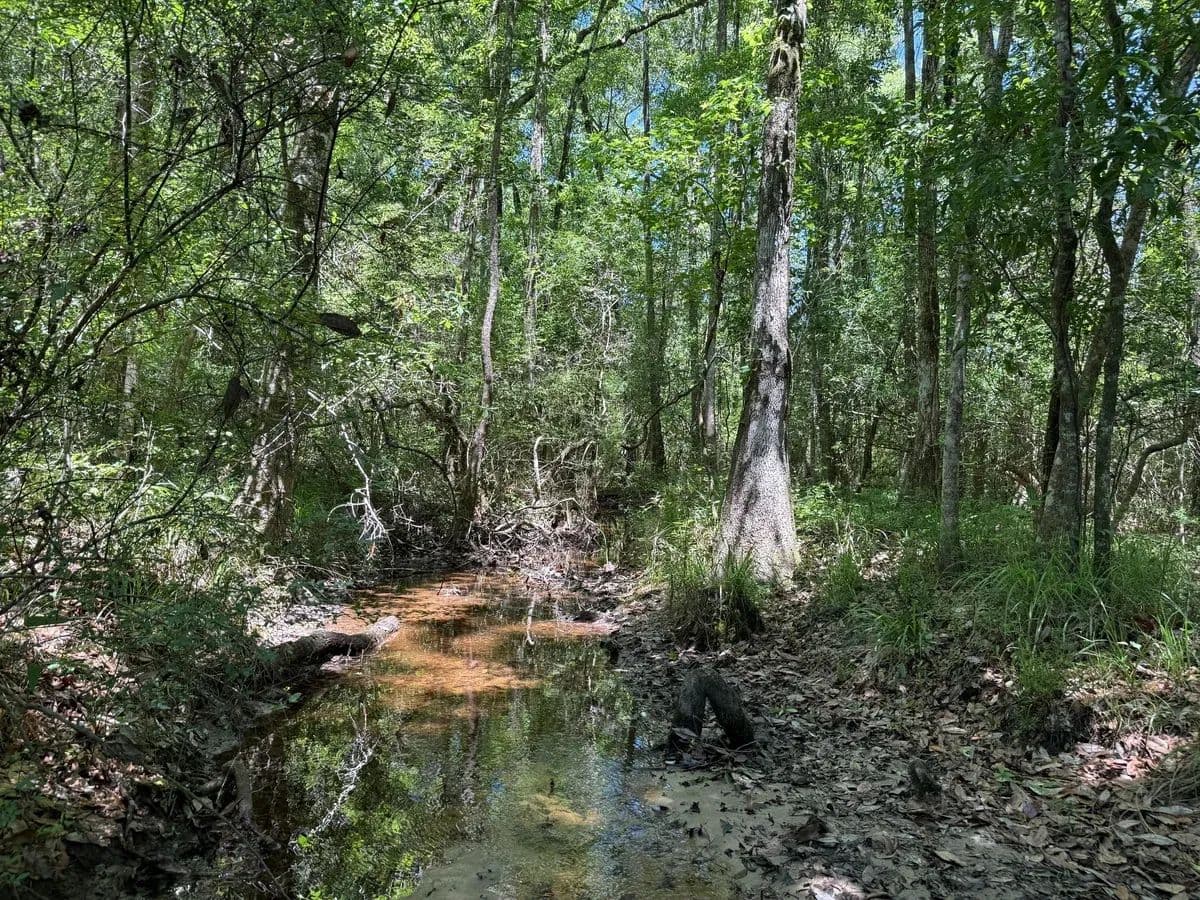 Vernon North - Vernon, Florida, 32462