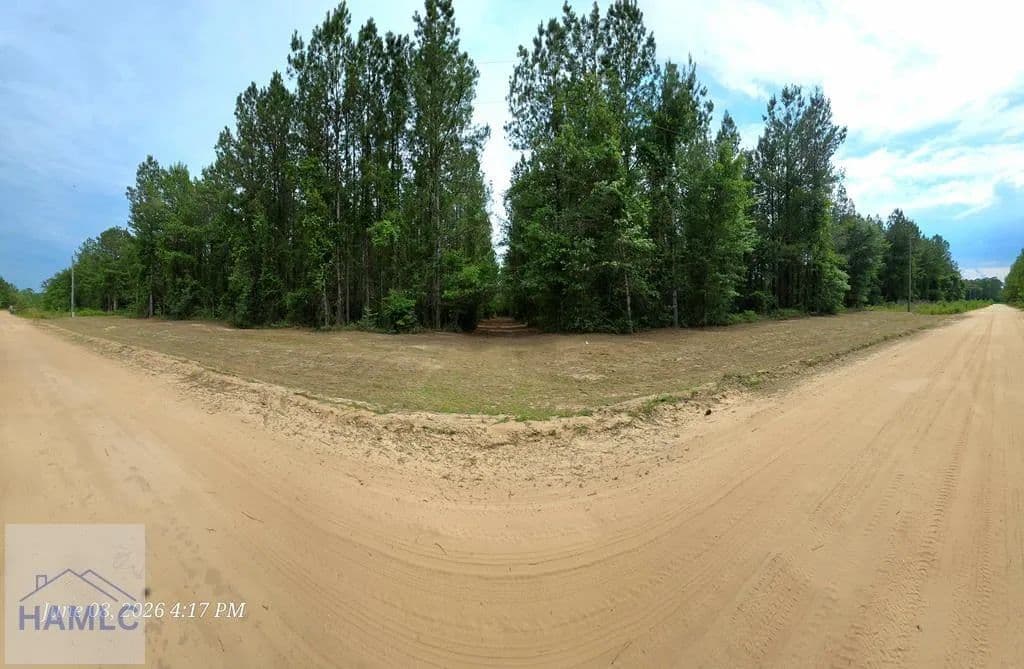 Property from Lot 14 Hillman Drive SE - KW - Ludowici, Georgia, 31316