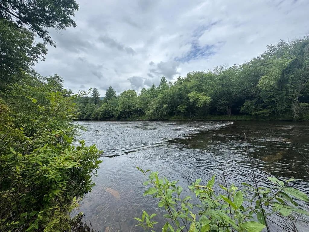 31.52 Acres of Land for Sale in Hayesville, North Carolina - Hayesville, North Carolina, 28904
