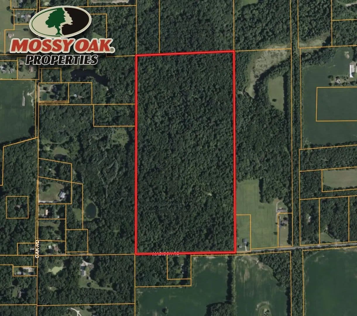 80± Acres of Wooded Land for Sale – Madison Road, St. Joseph County, South Bend, Indiana - South Bend, Indiana, 46614
