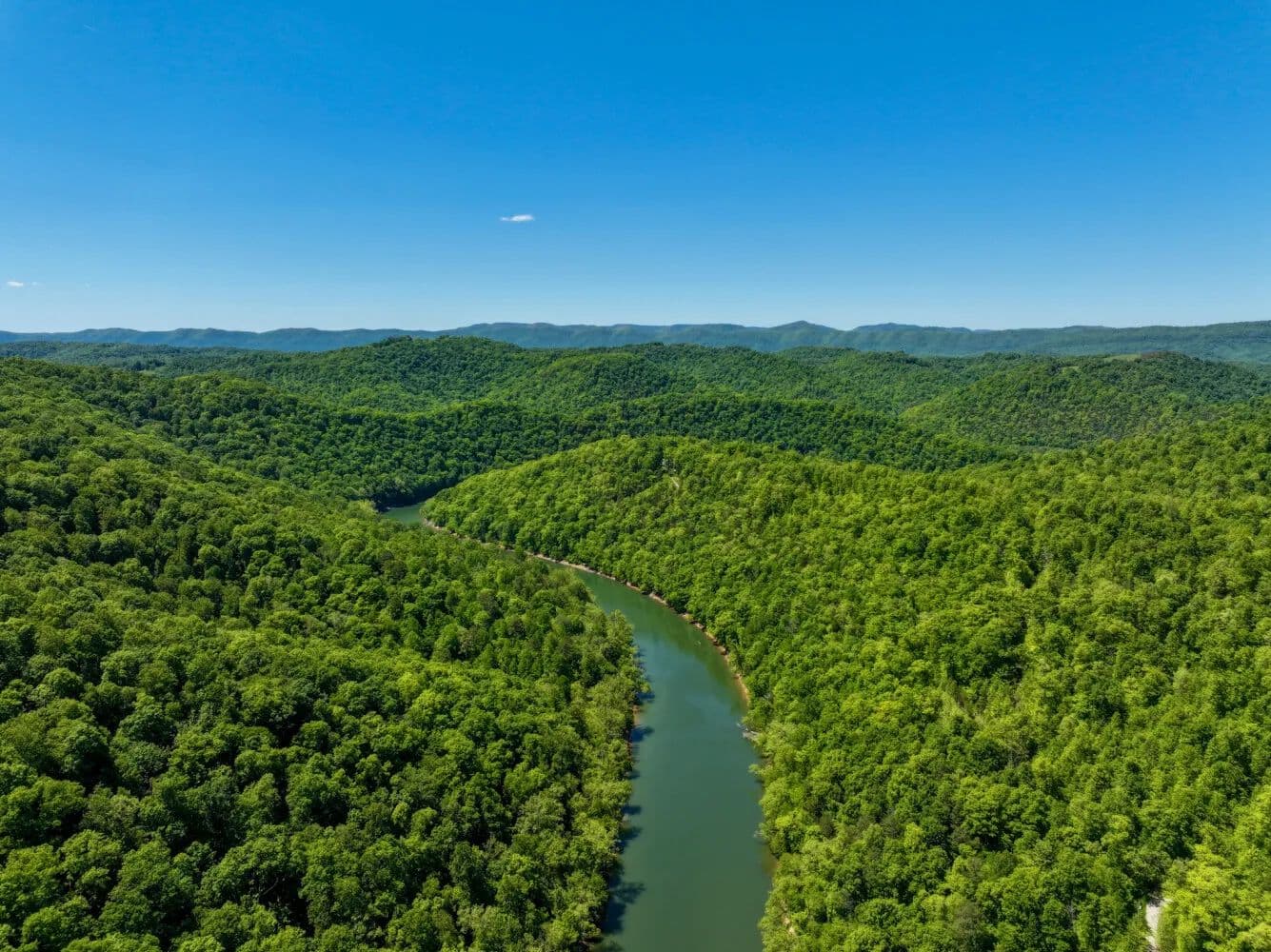 Powell River Retreats | Riverfront, Residential & Investment Properties – Lots 145 & 146 - Speedwell, Tennessee, 37870