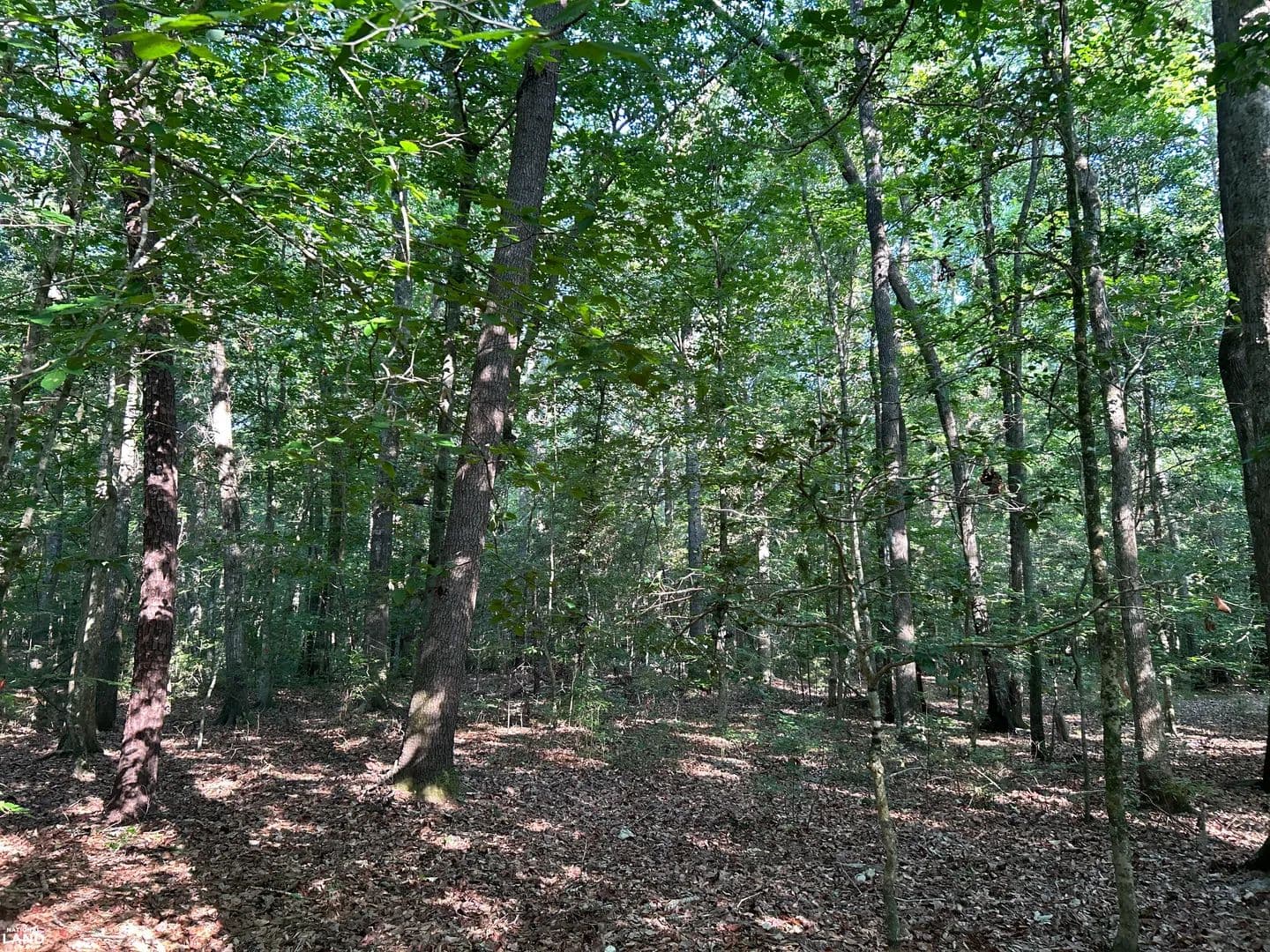 Ashley River Retreat - Summerville SC - Summerville, South Carolina, 29485