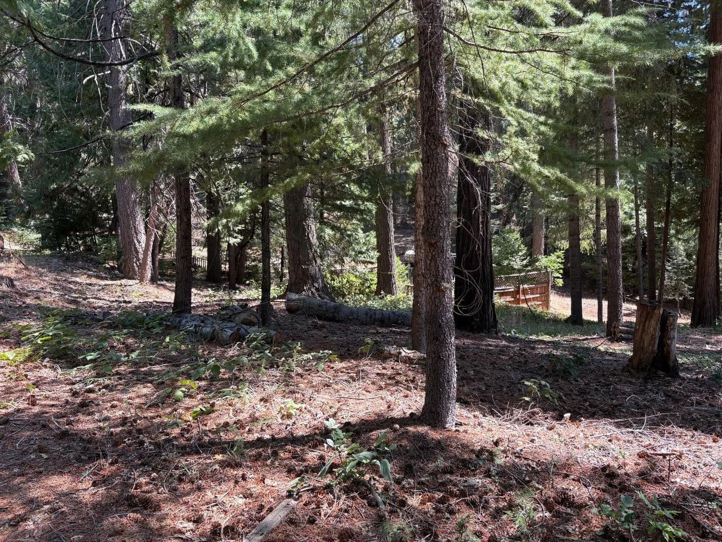 1.16 Acres of Land for Sale in Alta, CA - Alta, California, 95701