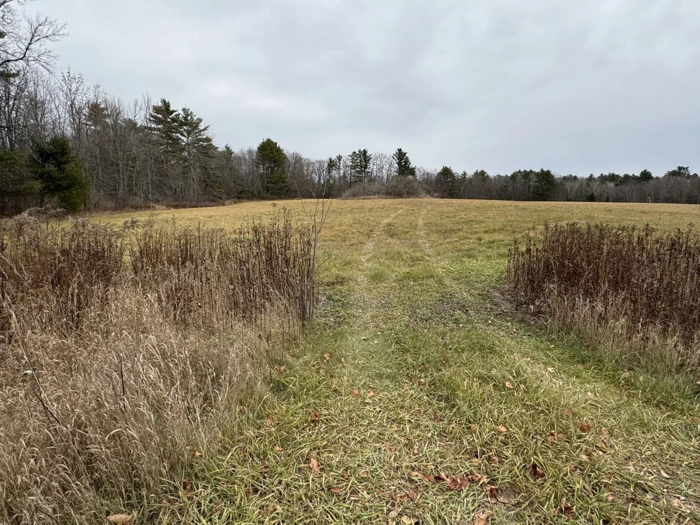 Vacant Land (0-10 Acres) in Unity - land for sale
