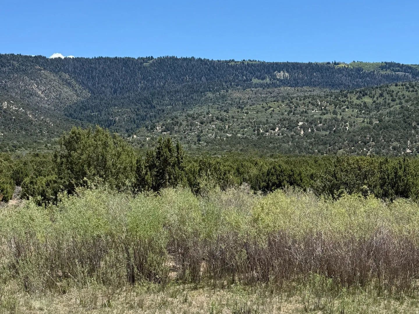 Property from #10 - KW - Spring City, Utah, 84662