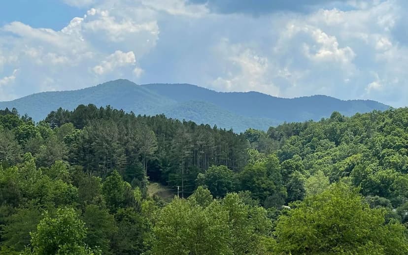 Lots & Land-Other in Warne