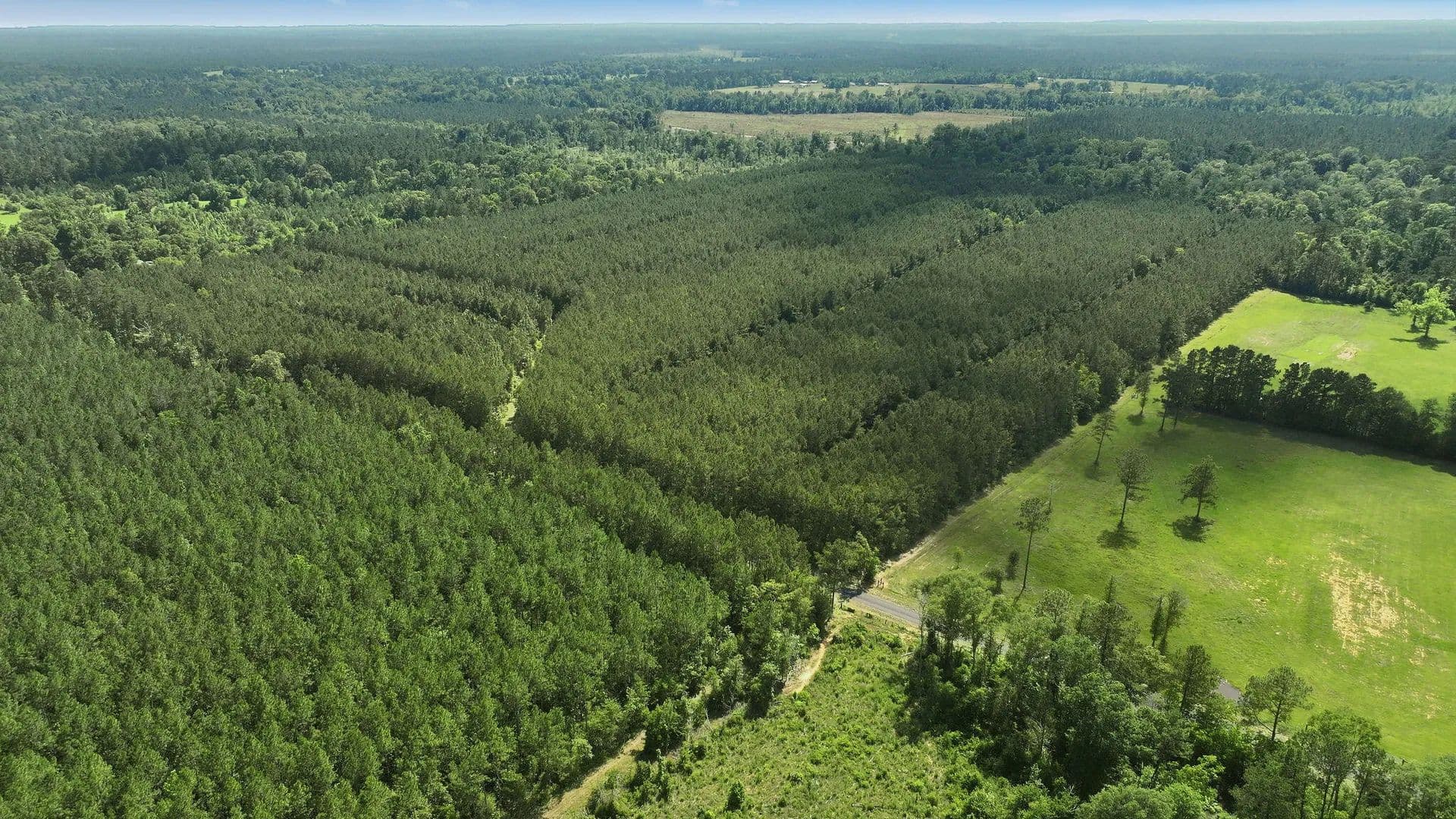 80 Acres of Land for Sale in Dry Creek, Louisiana - Dry Creek, Louisiana, 70637