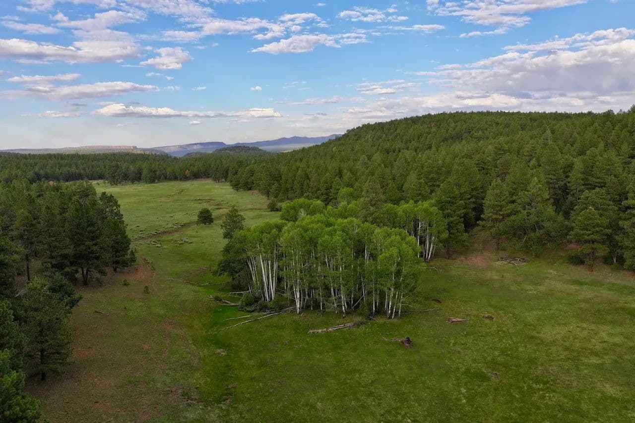 Lookout Mountain Ranch - land for sale