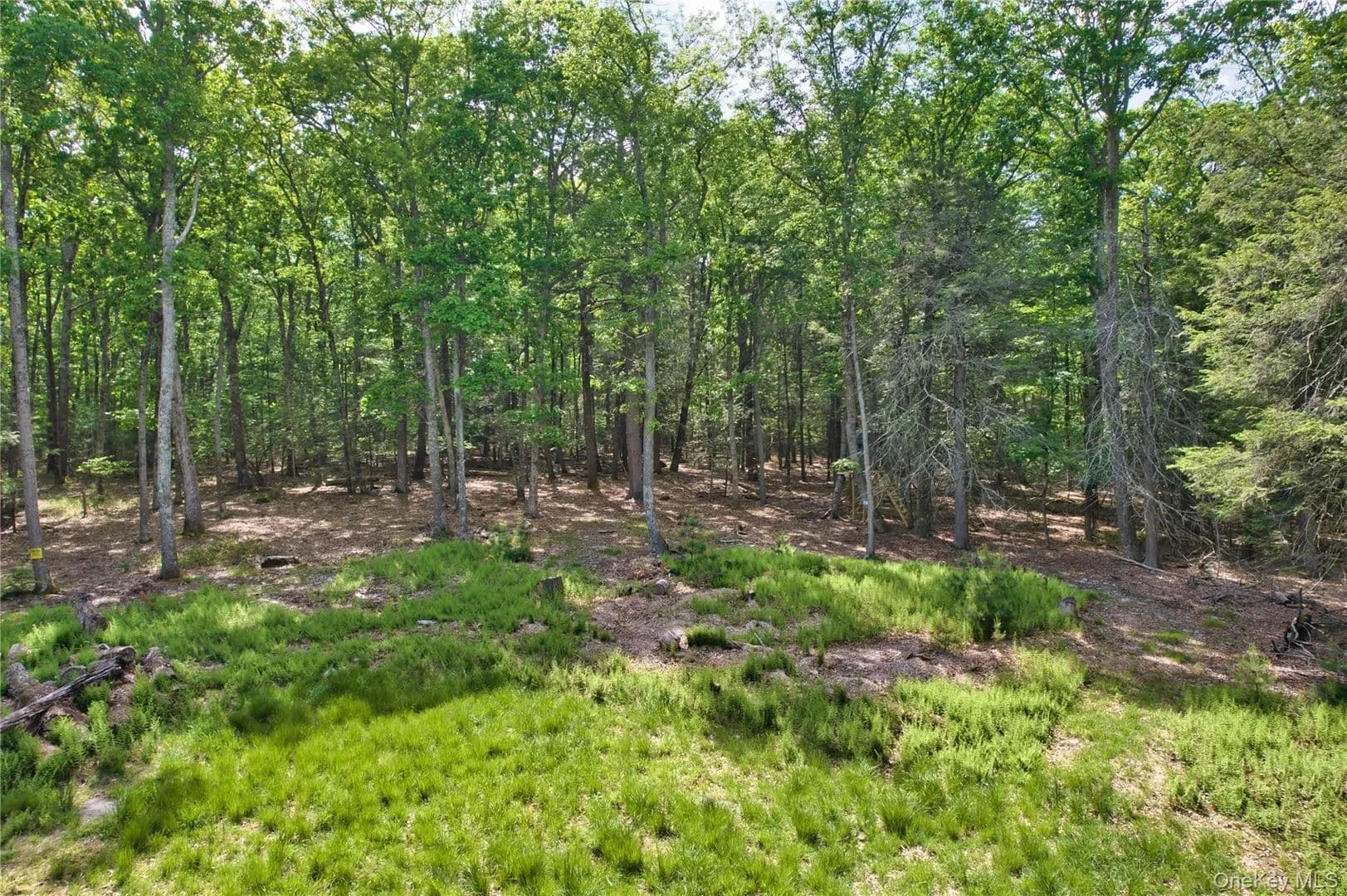 Land for Sale in Wurtsboro, New York - Wurtsboro, New York, 12790
