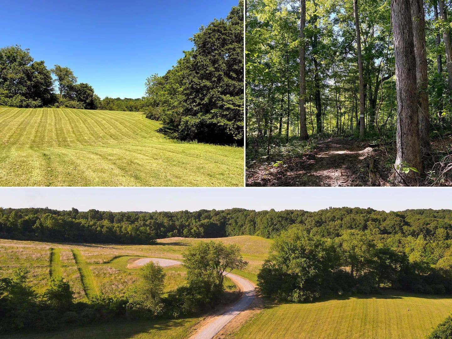 31.11 Acres of Land for Sale in Jackson, Ohio - Jackson, Ohio, 45640