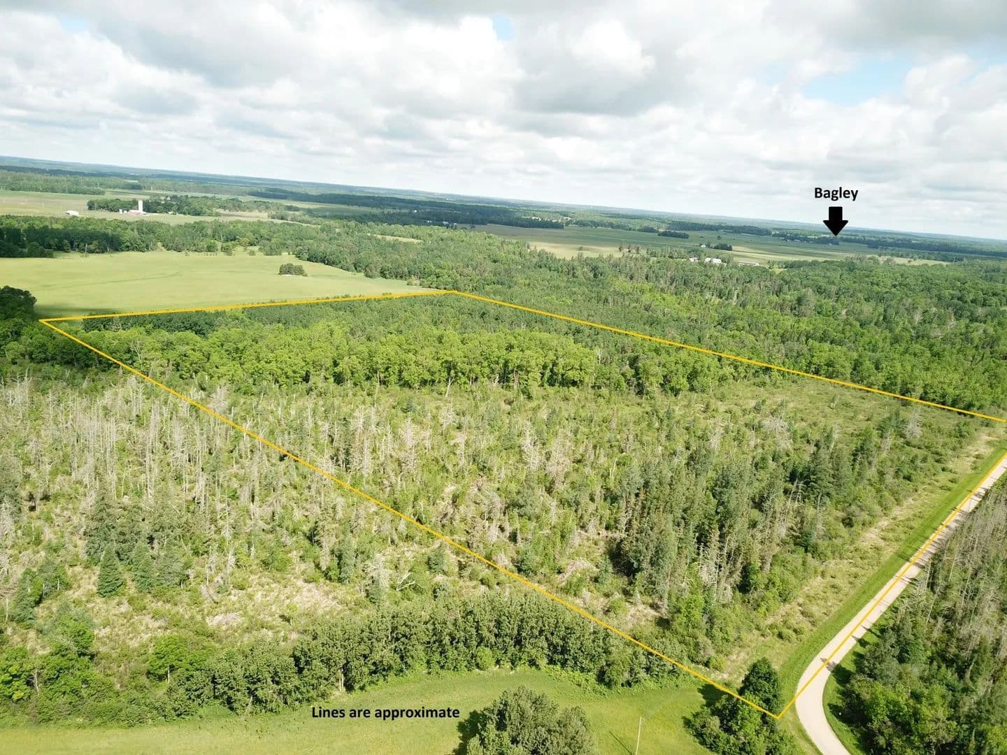 40 Acres of Land for Sale in Bagley, MN - Bagley, Minnesota, 56621