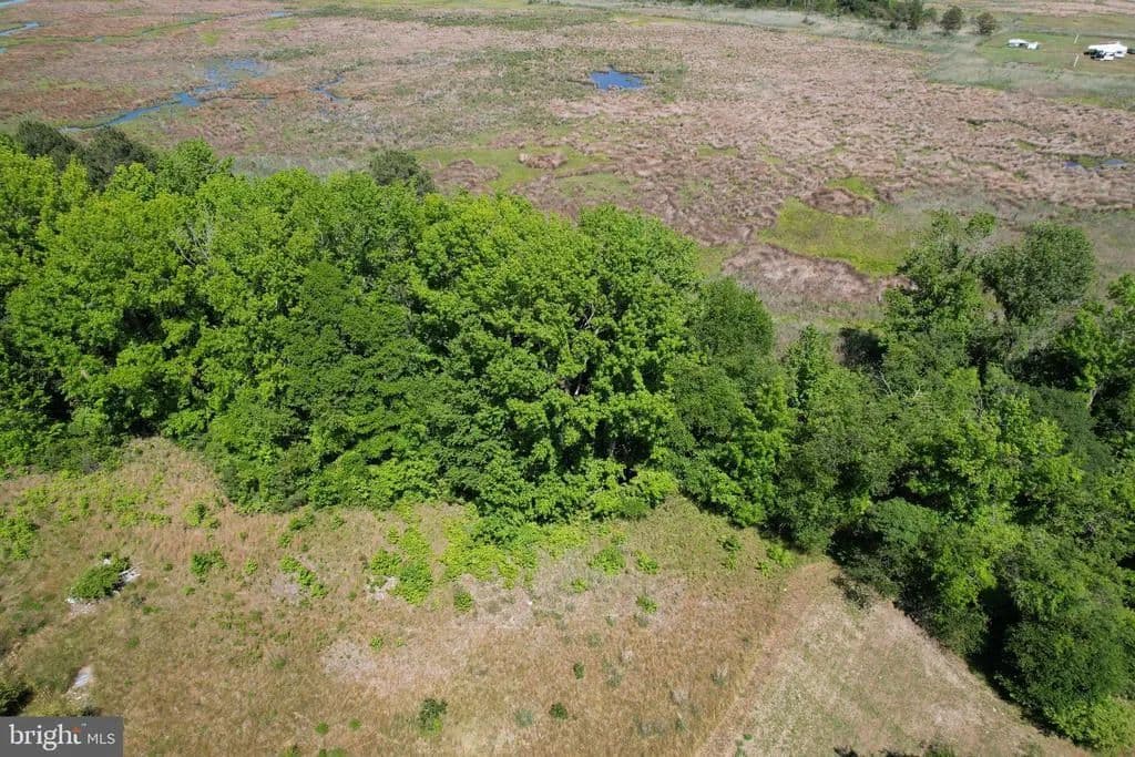 1.75 Acres of Land for Sale in Deal Island, Maryland - Deal Island, Maryland, 21821