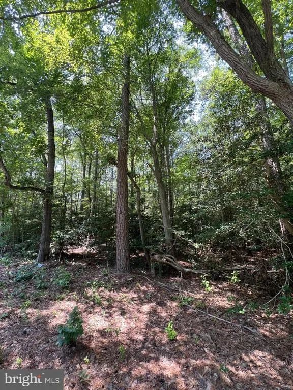0.59 Acres of Land for Sale in MILTON, DE - Milton, Delaware, 19968